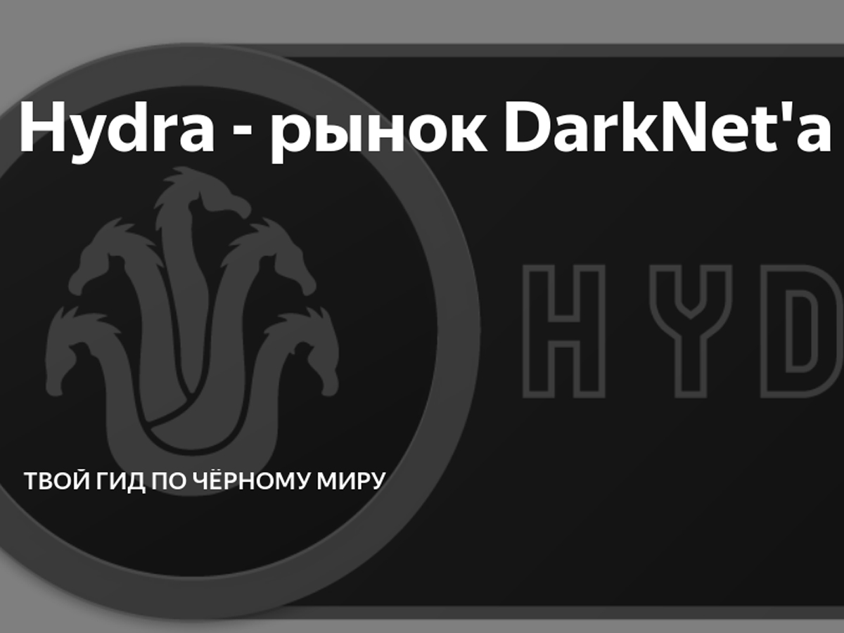 Где найти рабочую ссылку на кракен