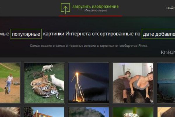 Кракен маркет даркнет скачать