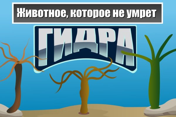 Как восстановить пароль на кракене