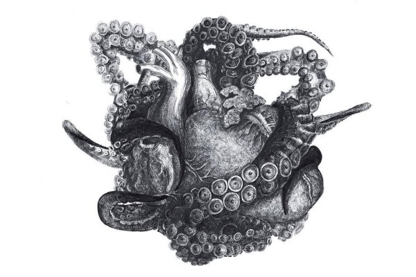 Замена hydra