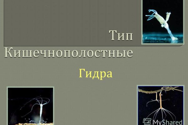 Кракен тор маркет пв