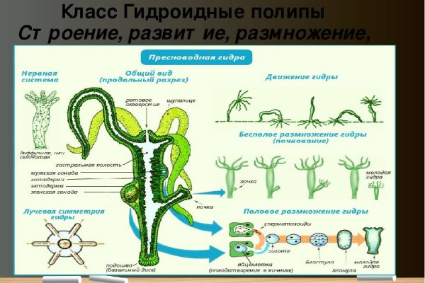 Кракен магазин зеркало