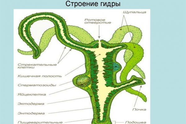 Кракен тор gigageek ru