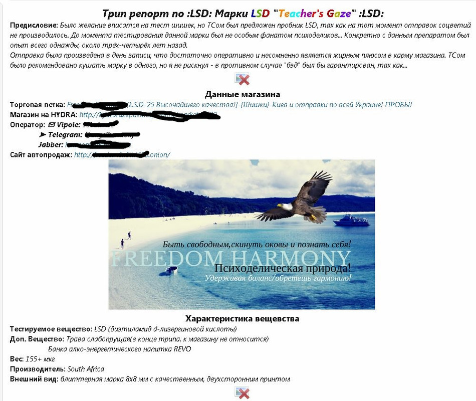 Kraken даркнет что это