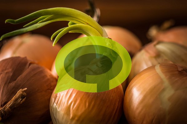 Кракен сайт ссылка kr2web in