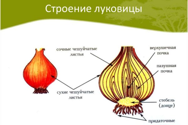 Кракен маркет даркнет слушать