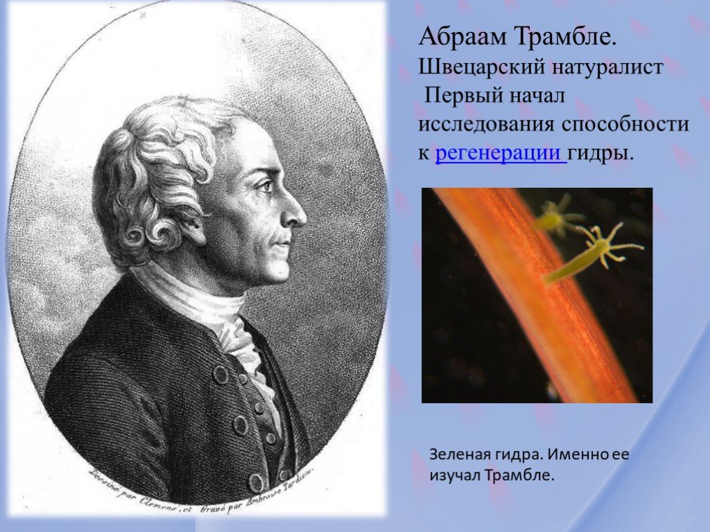 Как восстановить аккаунт на кракене